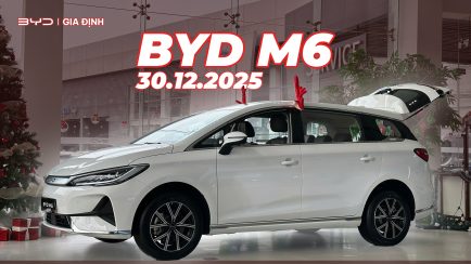 BYD M6