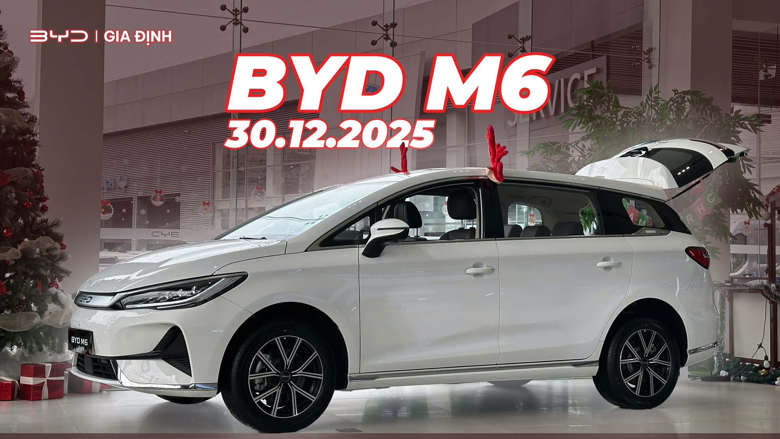 BYD M6